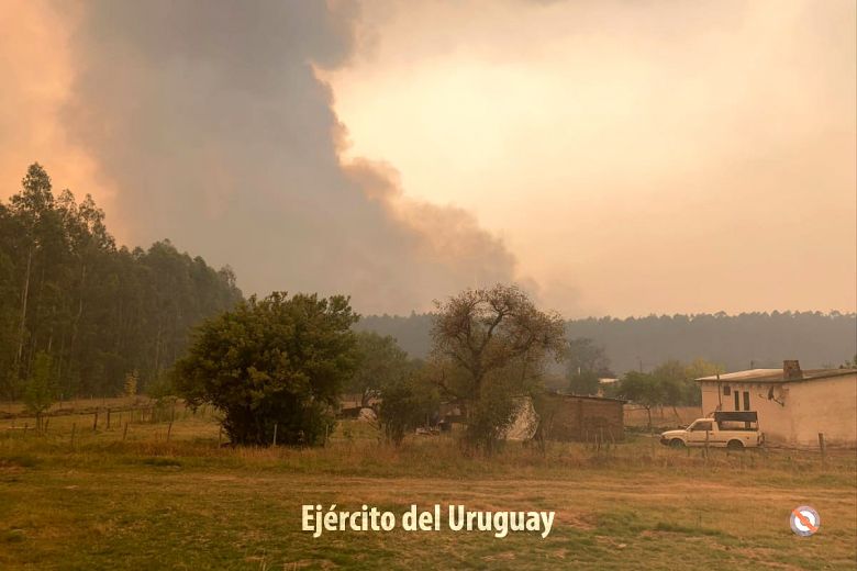 A onda de calor que cobriu o Uruguai e parte da América do Sul há poucos dias aumentou o risco de incêndios nas matas. Crédito: Divulgação twitter @EjércitoUy