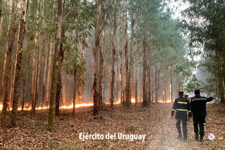 Bombeiros combateram graves incêndios florestais no Uruguai durante a virada do ano. Crédito: Divulgação pelo twitter @EjércitoUy