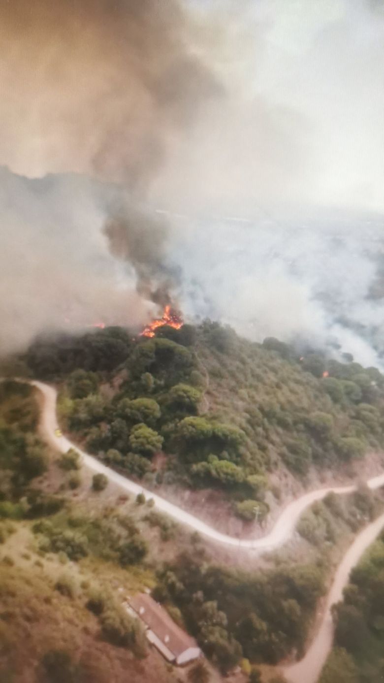 Incndio rural na Encosta do Castelo de Palmela, Concelho de Palmela, a norte da cidade de Setbal nesta manh do dia 13 de julho. Crdito: Proteo Civil Setbal
