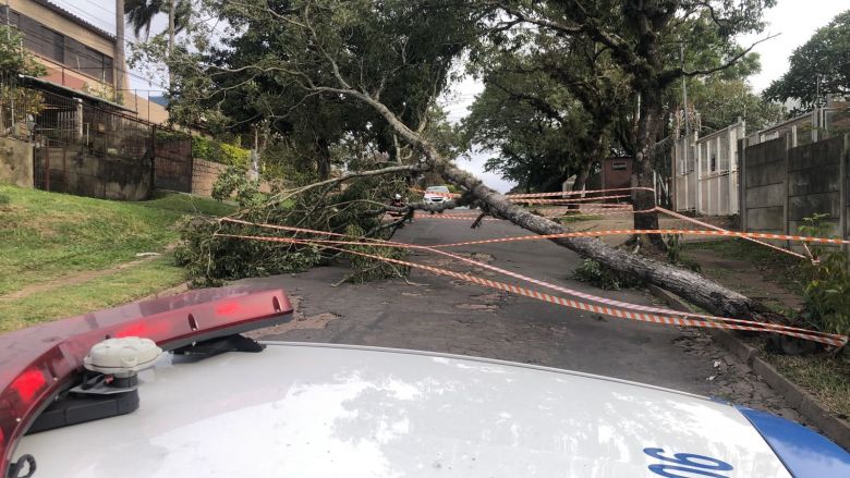 Ventos de 80 km/h derrubaram árvores em Porto Alegre. Crédito: Divulgação Empresa Pública de Transporte de Circulação de Porto Alegre