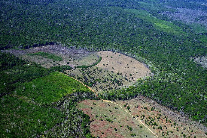 �reas de desmatamento no munic�pio de Careiro da V�rzea, no Amazonas, pr�ximo �s Terras Ind�genas do povo Mura. Cr�dito: Alberto C�sar Ara�jo/Amaz�nia Real/Fotos P�blicas