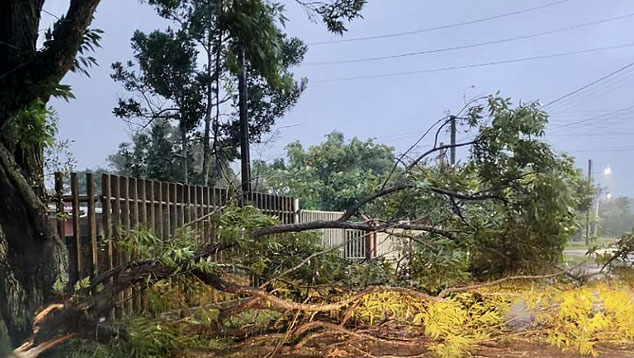 Ventos intensos do ciclone extratropical chegaram a 100 km/h no Rio Grande do Sul e provocaram diversos danos. Crdito: Santo Antnio da Patrulha, divulgao redes sociais.