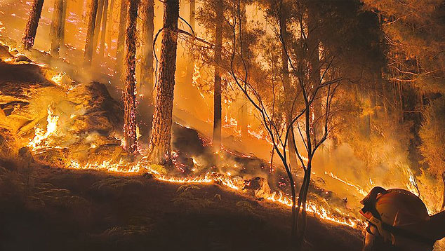 Incndio florestal sai de controle no norte de Tenerife, nas Canrias e j afeta 8 mil pessoas. Crdito: Divulgao via twitter @AT Brif 