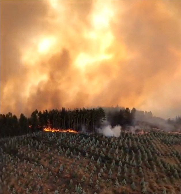 Incndios Florestais se agravaram nos ltimos dias no Chile e governo decreta estado de catstrofe. Crdito: Divulgao pelo twitter @ilustrador