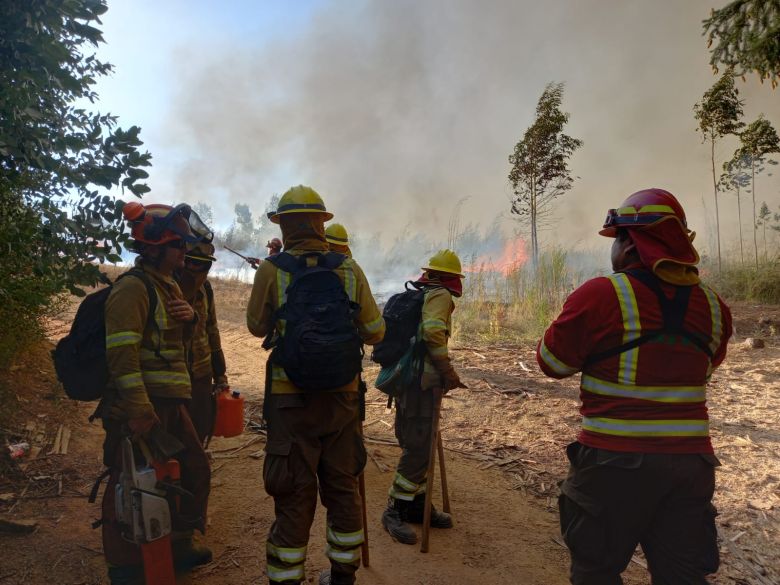 Bombeiros combatem focos de incndio na regio de Bo Bo, no Chile. A situao se agravou e o pas recebeu ajuda internacional no ms passado. Crdito: Divulgao CONAF 