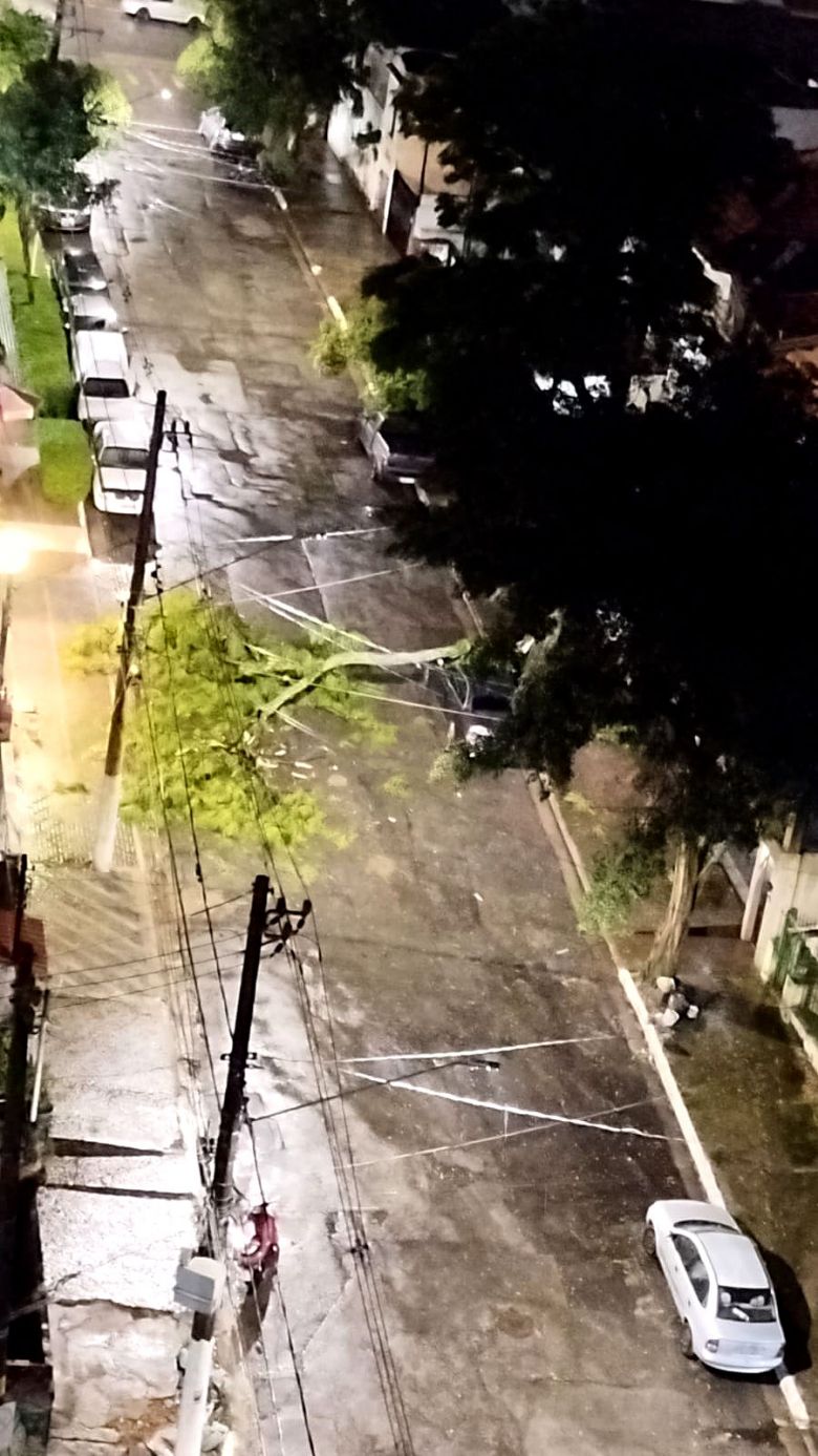 Temporal provoca mais quedas de árvores em São Paulo na noite do dia 15. Crédito: Painel Global/Vila Mariana, zona sul.