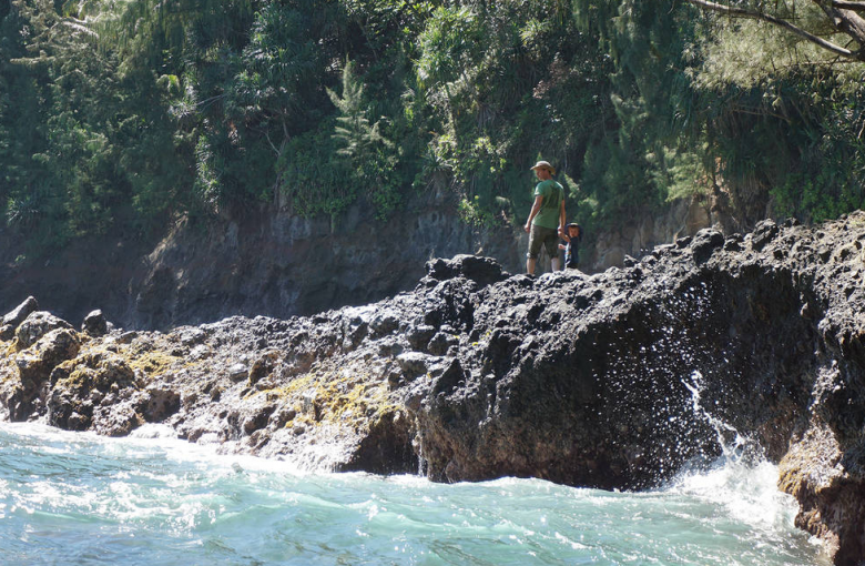 Imagem ilustrativa da costa do Hava, onde um tsunami foi mortal em abril de 1946. Crditos: M. Younger/NASA