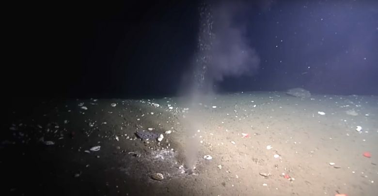 Imagens capturadas durante o mergulho do rob ROPOS R1858 em 24 de julho de 2015. A sada do fludo da abertura, denominada Pythia's Oasis, foi observada durante vrios mergulhos em 2015 e 2016. Crdito: Universidade de Washington