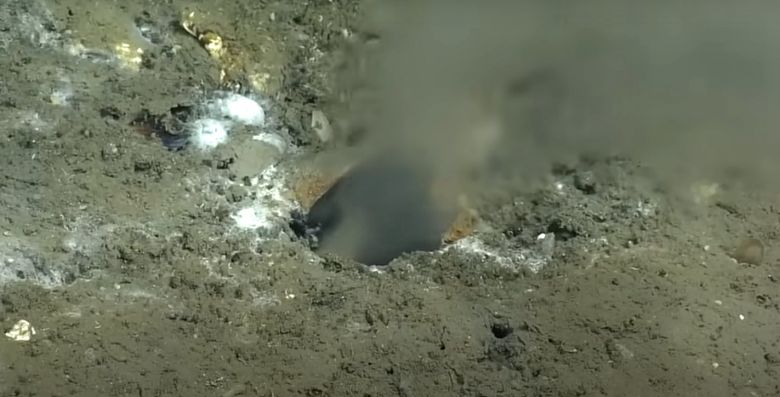 Imagem aproximada do buraco por onde sai o fluido detectado pela primeira vez em 2015. Crdito: Universidade de Washington