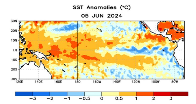 Mapa mostra a anomalia da superfcie do mar (TSM) em 5 de junho, indicando resfriamento no Pacfico equatorial. Crdito: NOAA