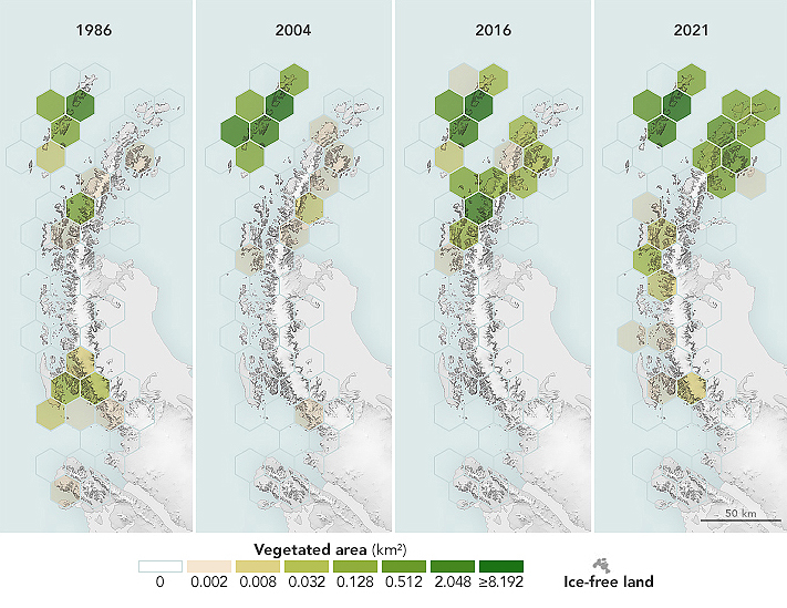 Mapas elaborados com dados de sat�lites mostram o grande aumento das �reas verdes na Pen�nsula Ant�rtica nas �ltimas d�cadas. Cr�dito: NASA 