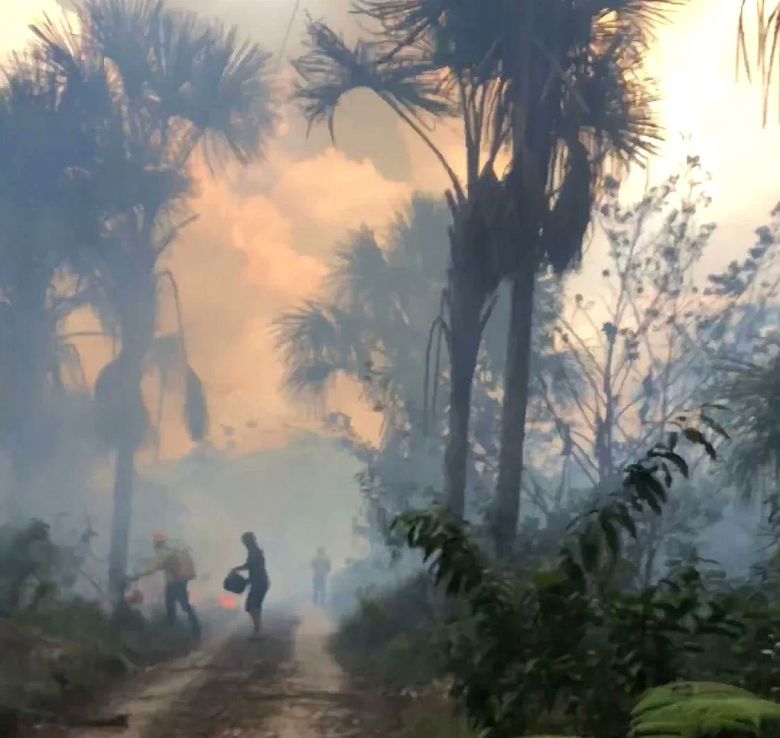 Moradores tentam combater incndio no municpio de Amajari, em Roraima, dia 26 de fevereiro. Crdito: divulgao via X (twitter) @ClimaInfoNews