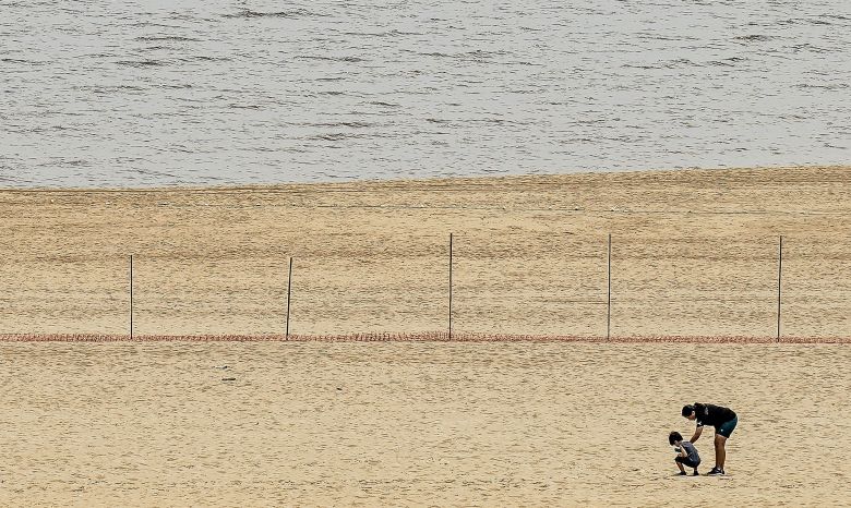 Imagem ilustrativa. Ponta Negra, em Manaus, na maior seca em 121 anos, durante per�odo de El Ni�o em 2023. Cr�dito: Rafa Neddermeyer/Ag�ncia Brasil/Fotos P�blicas
