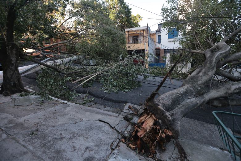 Queda de �rvores sobre carros na rua Paula Ney, Vila Mariana, zona sul de SP. Cr�dito:Paulo Pinto/Ag�ncia Brasil/Fotos P�blicas