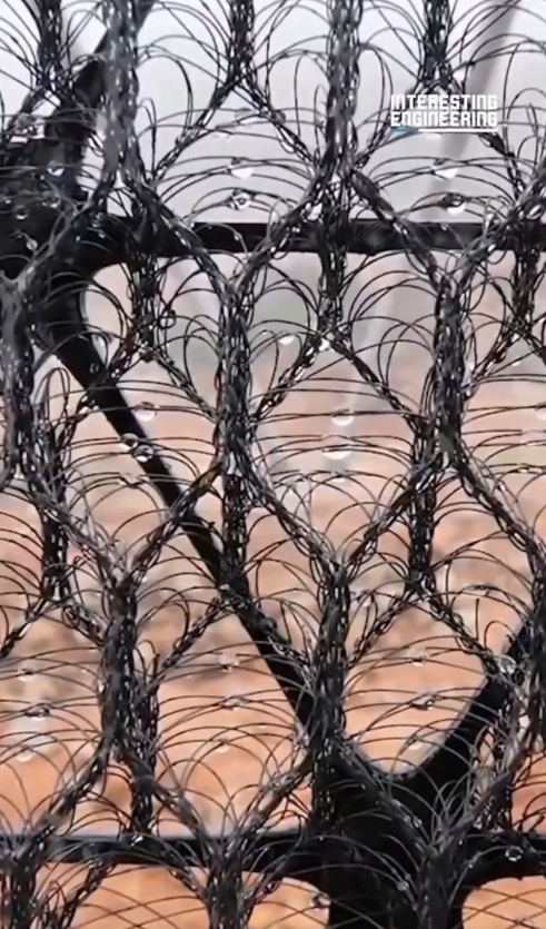 A umidade condensa na malha dos coletores. Crdito: divulgao via X @EnsedeCiencia 