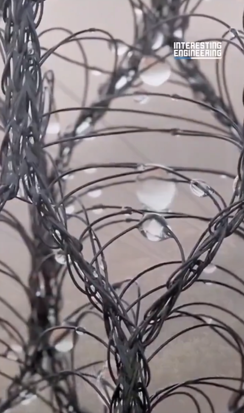 As gotas se acumulam e caem em uma calha. Crdito: divulgao via X @EnsedeCiencia 