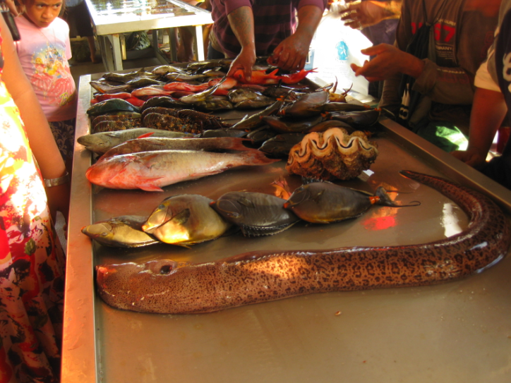 Os recifes de corais s�o importantes fontes de nutri��o e renda para comunidades costeiras do mundo todo. Cr�dito: NOAA 