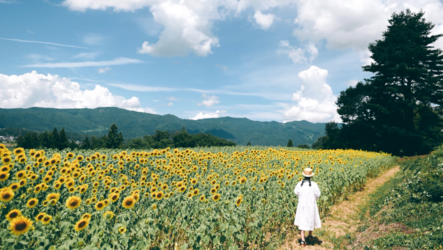 Jap�o enfrenta temperaturas acima dos 41 graus em v�rias localidades. Cr�dito: divulga��o via X @sty 830/local Prefeitura de Nagano 