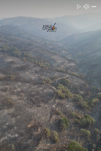 Destrui��o pelo fogo em territ�rio portugu�s com imagens capturadas em 19 de agosto. Cr�dito: divulga��o via facebook Mauro Santos Fotografia '