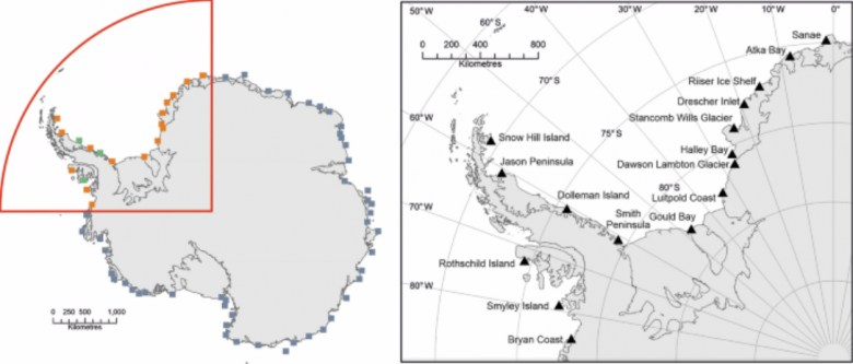�rea de estudo das col�nias de pinguins-imperadores desde 2009. Cr�dito: BAS 