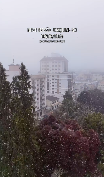S�o Joaquim registra neve pela terceira vez no ano. Cr�dito: divulga��o via Instagram @santacatarinaemfotosbr 