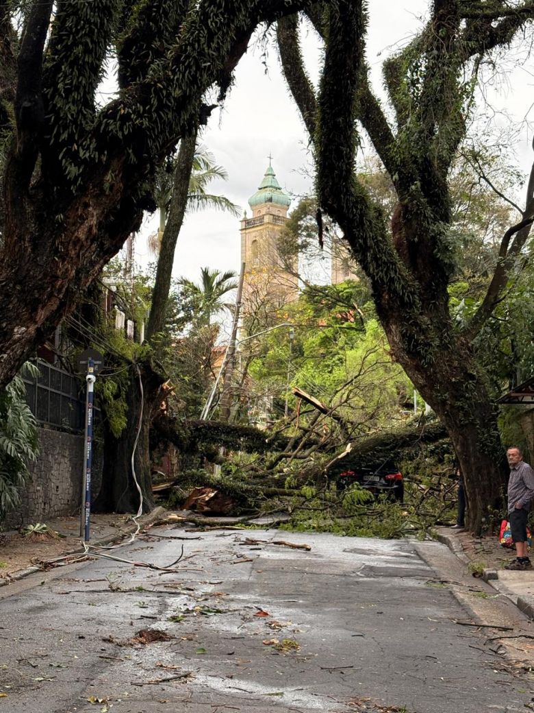 Rua interditada por queda de �rvore no Sumar�. Ao fundo a Igreja Nossa Senhora de F�tima. Cr�dito: divulga��o morador bairro Sumar�   