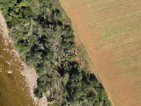 �rvores foram derrubadas pela passagem de tornado em Santo Amaro da Imperatriz. Cr�dito: Defesa Civil de SC 