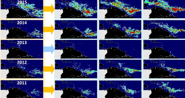 Evolu��o do Cintur�o de Sarga�o desde 2011 quando come�ou a ser mapeado por sat�lites. Cr�dito: Optical Oceanography Laboratory  