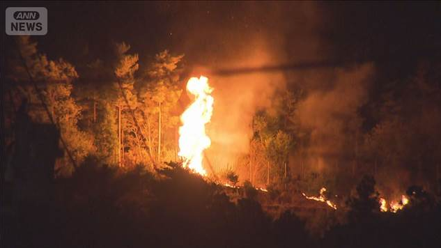 Inc�ndios florestais sem alastram na prov�ncia de Iwate, norte do Jap�o. Cr�dito: imagem de divulga��o ANN News