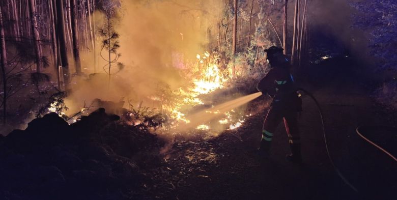 Bombeiros combatem inc�ndio no norte de Portugal em meio a uma intensa onda de calor. Cr�dito: divulga��o via X @proteccioncivil
