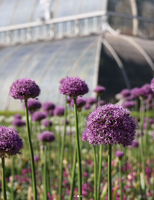 Jardim Bot�nico, Kew Gardens, ao sudoeste de Londres, florido em 19 de maio. Cr�dito: divulga��o via Instagram @kewgardens