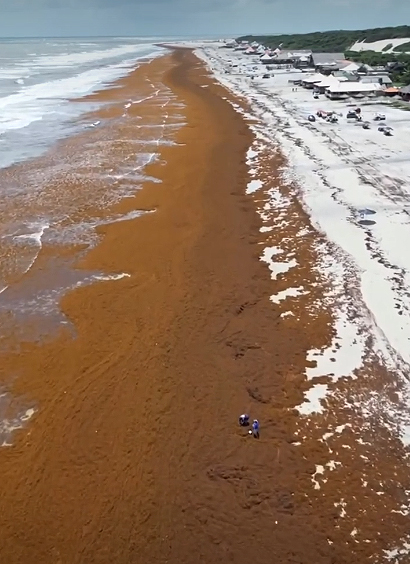 Imagem a�rea da Praia do Atalaia, em Salin�polis, no Par�, tomada pelo sarga�o em mar�o de 2025. Cr�dito: divulga��o via Instagram @amo.salinas 