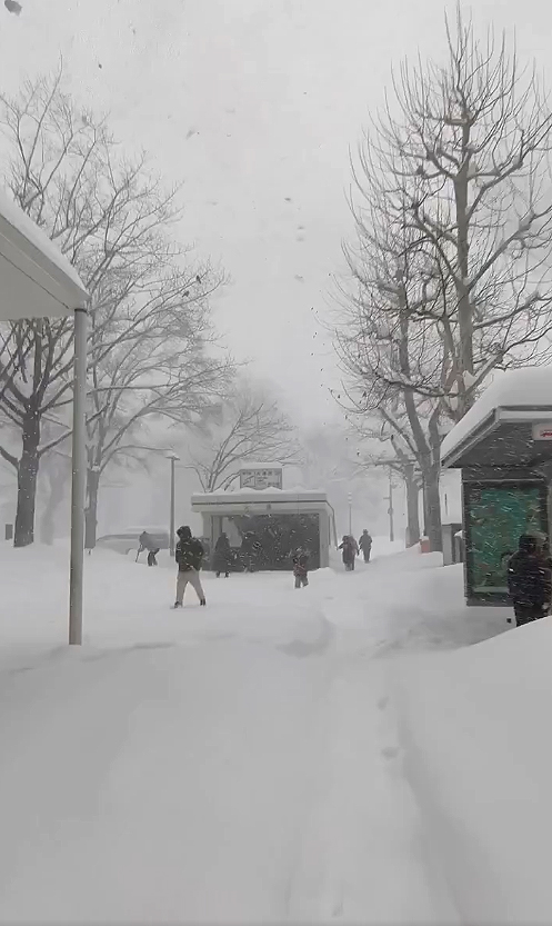 Sapporo fortemente atingida pelas nevascas dos �ltimos dias. Cr�dito: divulga��o via X @intelranger