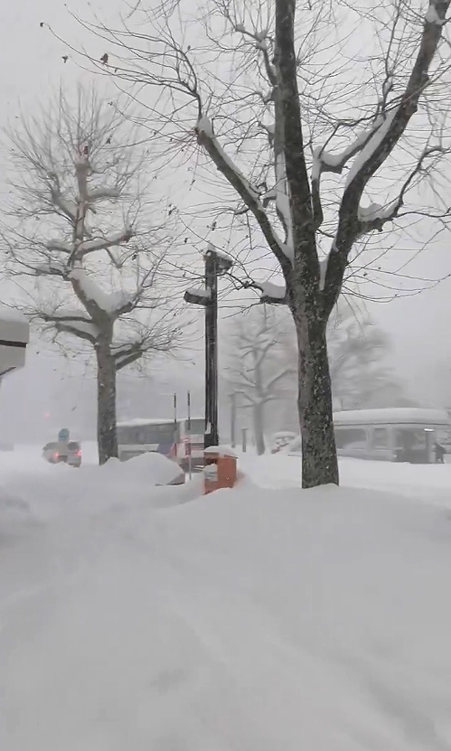 Todo transporte e vias foram impactados pela grande quantidade de neve em Sapporo. Cr�dito: divulga��o via X @intelranger 