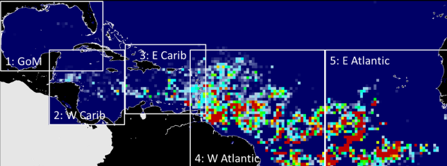 Cintur�o de Sarga�o do Atl�ntico em abril de 2024. Cr�dito: Optical Oceanography Laboratory 