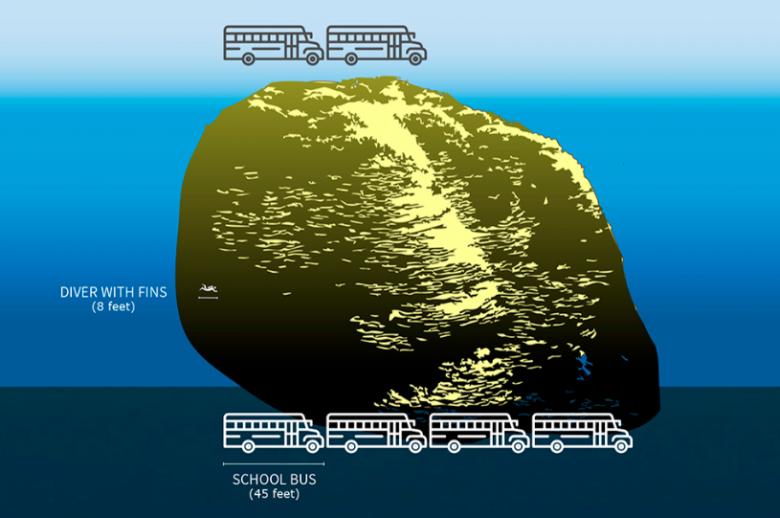 Desenho mostra a propor��o da estrutura de corais comparada ao tamanho de �nibus escolares. Cr�dito: NOAA 